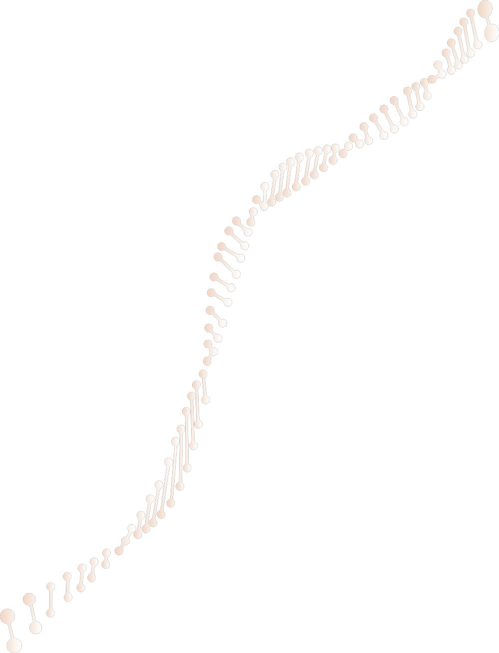DNA Chain