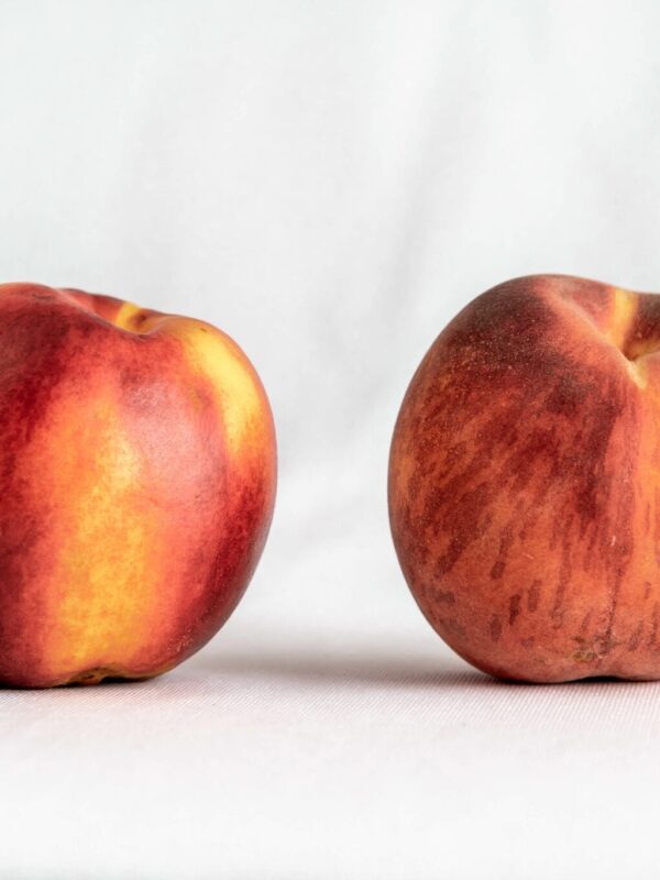 Unbranded peach and nectarine print.